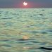 mark_041.jpg